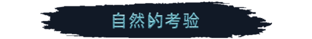 中世纪模拟即时战略建造类游戏《维京之城》四折史低-第2张