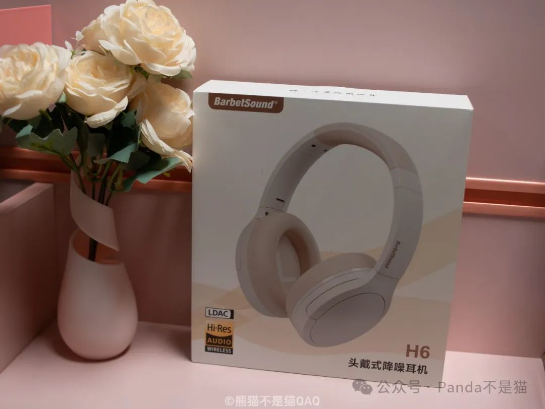 百元小金标，头戴耳机卷王！BarbetSound H6 头戴式降噪耳机-第0张