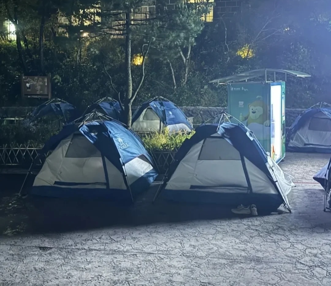 挤在黄山厕所，过夜的游客们，撕下了普通人旅行的10个遮羞布-第2张