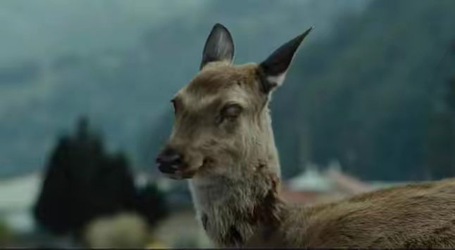 神的禁令，写在人类20号染色体上，它要阻止人类做什么？