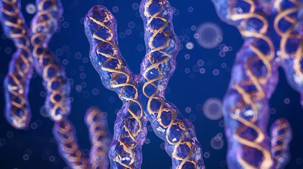 神的禁令，写在人类20号染色体上，它要阻止人类做什么？