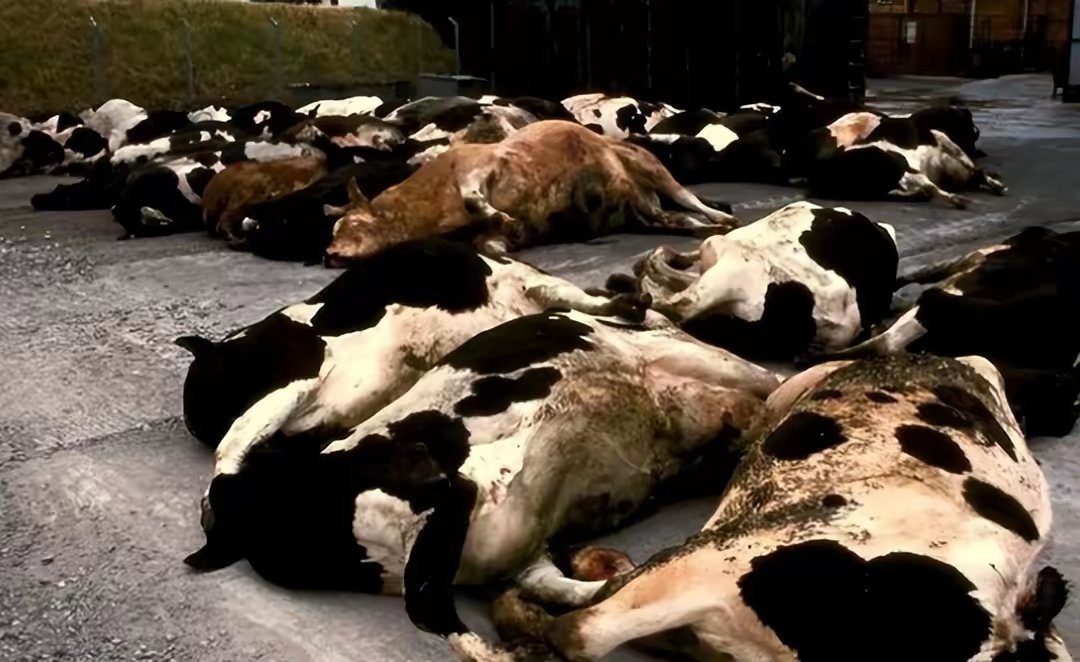 神的禁令，写在人类20号染色体上，它要阻止人类做什么？