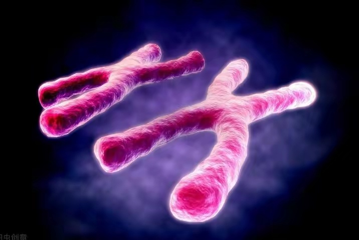 神的禁令，写在人类20号染色体上，它要阻止人类做什么？