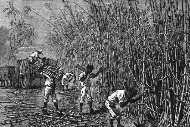 【球盟会】海盗为何偏爱朗姆酒？朗姆酒真是海盗们的首选吗？