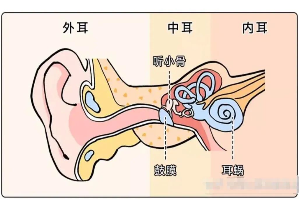 有耳朵的兄弟进来看一下