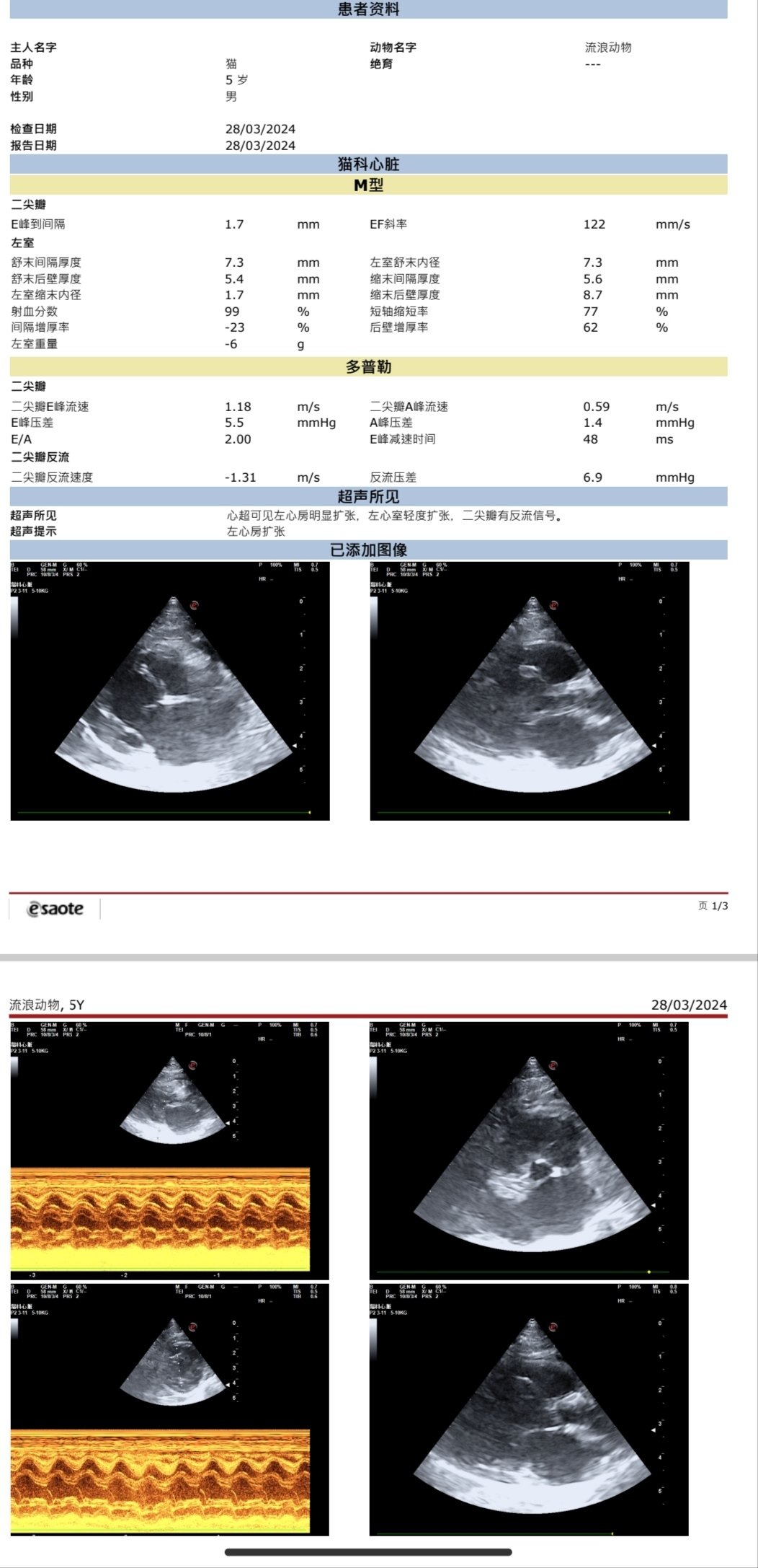 八斤（猫）的心脏病康复记录（1）-第1张