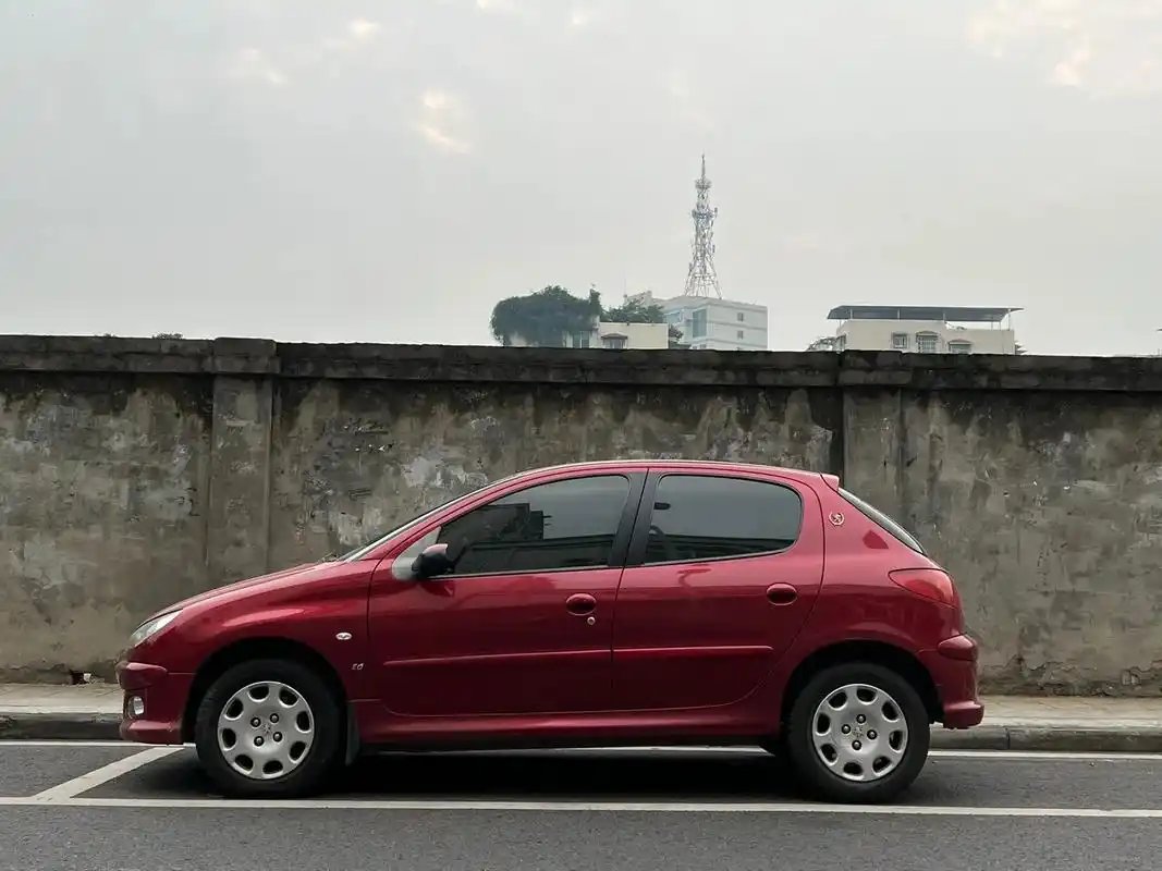 二手法系車選購指南