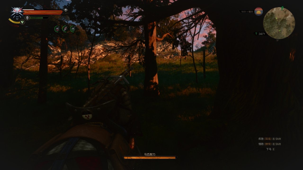 全盒最详细巫师三新手攻略