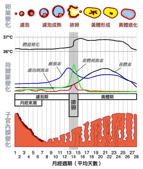 谈恋爱必修课-月经-第0张