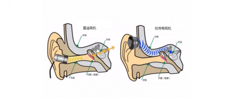 戴灵s900咋样？和老牌南卡、韶音的百元价位比起来表现如何？