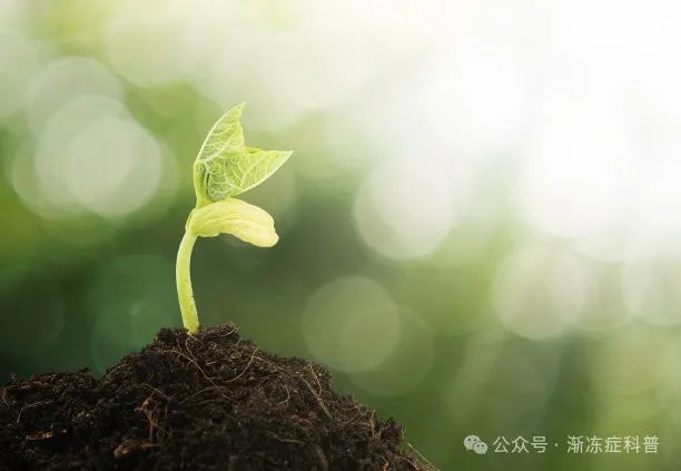 与其寄希望何时能问世的新药，不如探索老祖宗传承下来的治疗方法