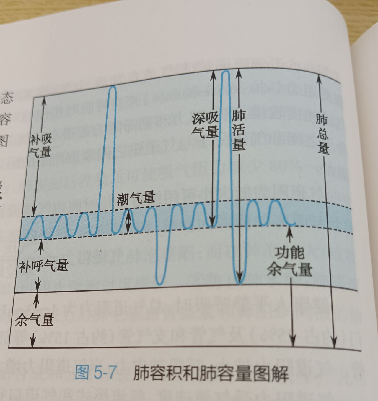 测肺活量其实要吸气之呼吸有关小知识-第2张