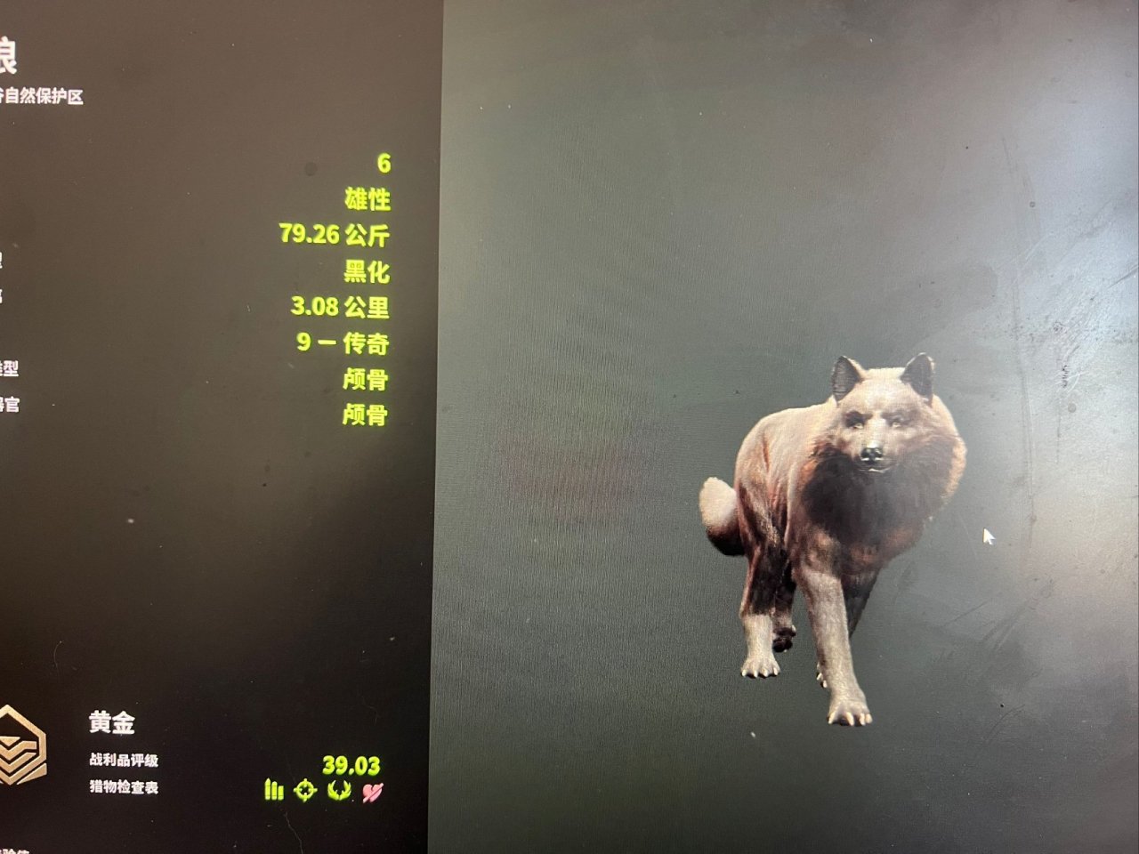 荒野打猎不只是打猎