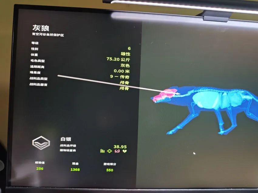 荒野打猎不只是打猎