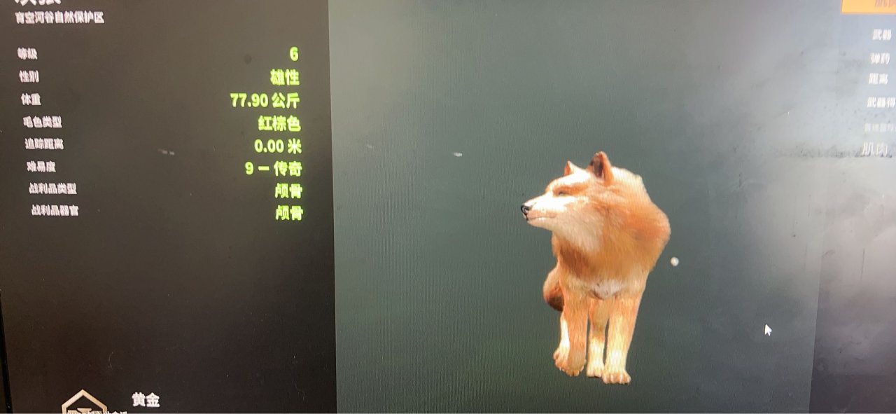 荒野打猎不只是打猎