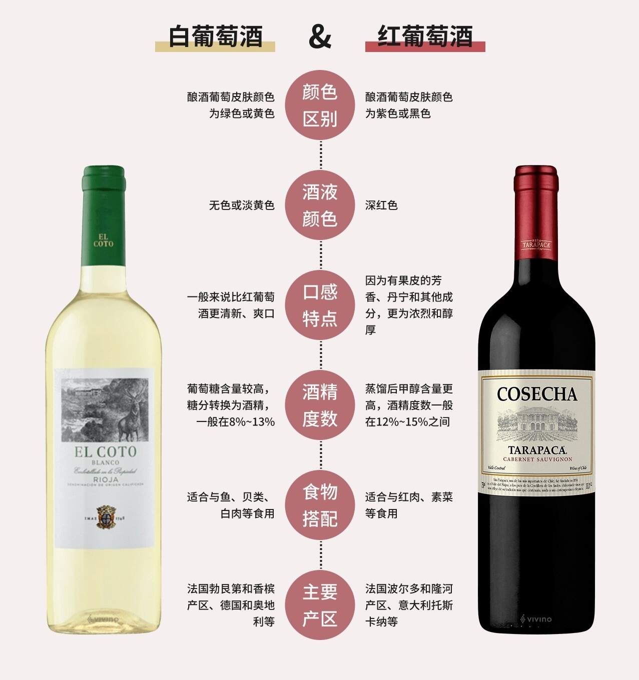 【球盟会】西餐厅就餐礼仪全流程分享！