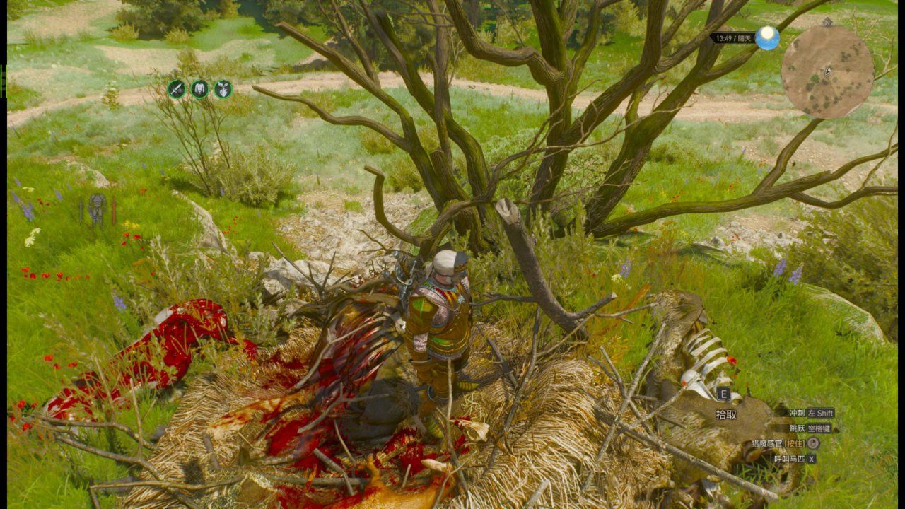 为什么不要杀那只银色石化蜥蜴？