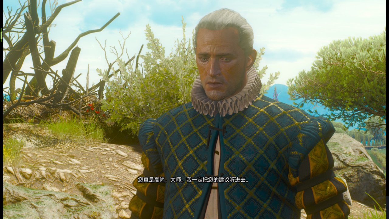 为什么不要杀那只银色石化蜥蜴？