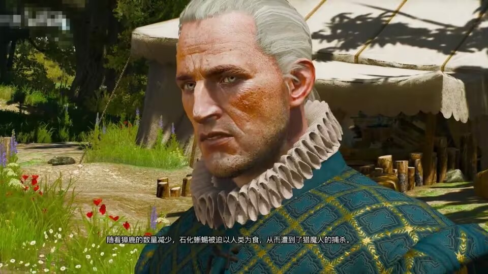 为什么不要杀那只银色石化蜥蜴？