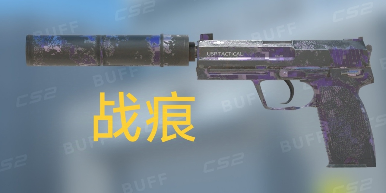 「cs2皮肤鉴赏」USP 消音版 紫色 DDPAT-第2张