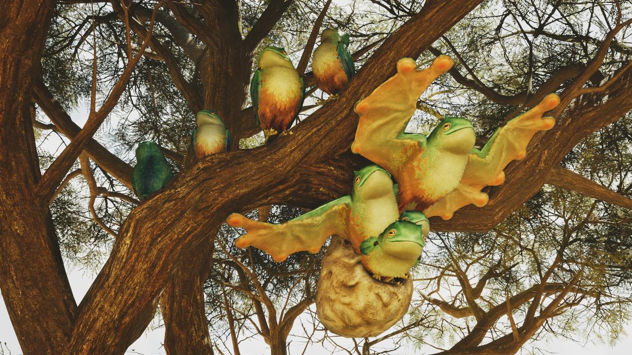 荒野环境生物高清图鉴