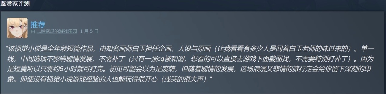 大家知道STEAM商店页面列表里的的冷门功能——鉴赏家组织吗？-第3张