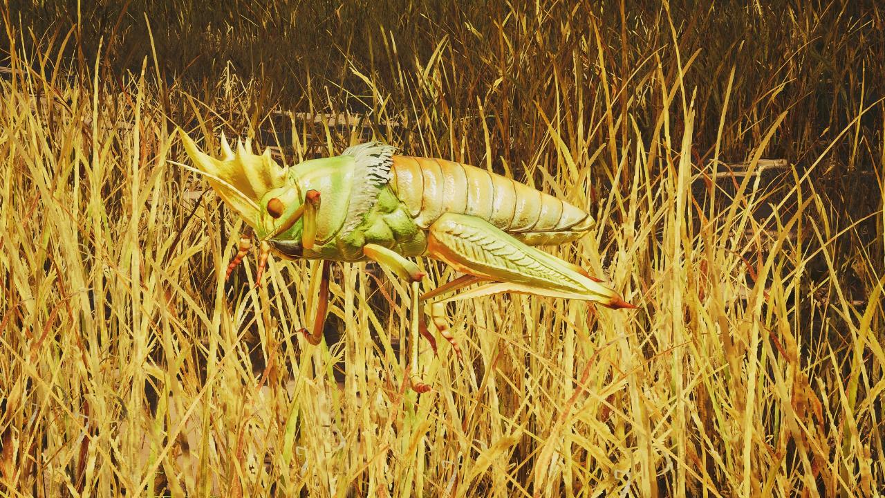 荒野环境生物高清图鉴