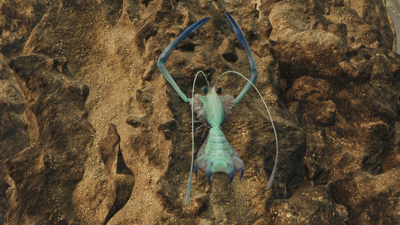 荒野环境生物高清图鉴