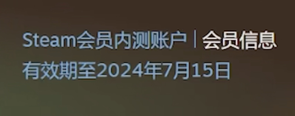 steam个人资料美化+自定义的老婆+自定义信息-第26张