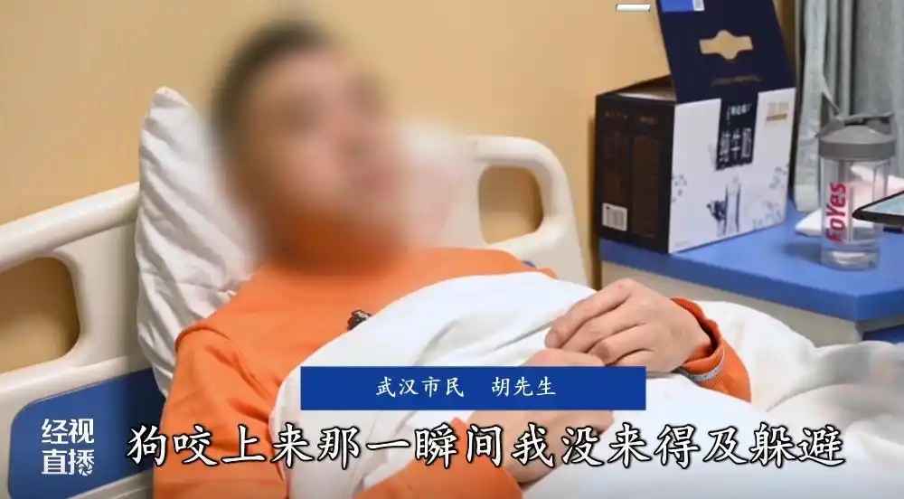 男子尝试狗语驯服爱犬遭反噬：网友热议说错话啦！-第3张