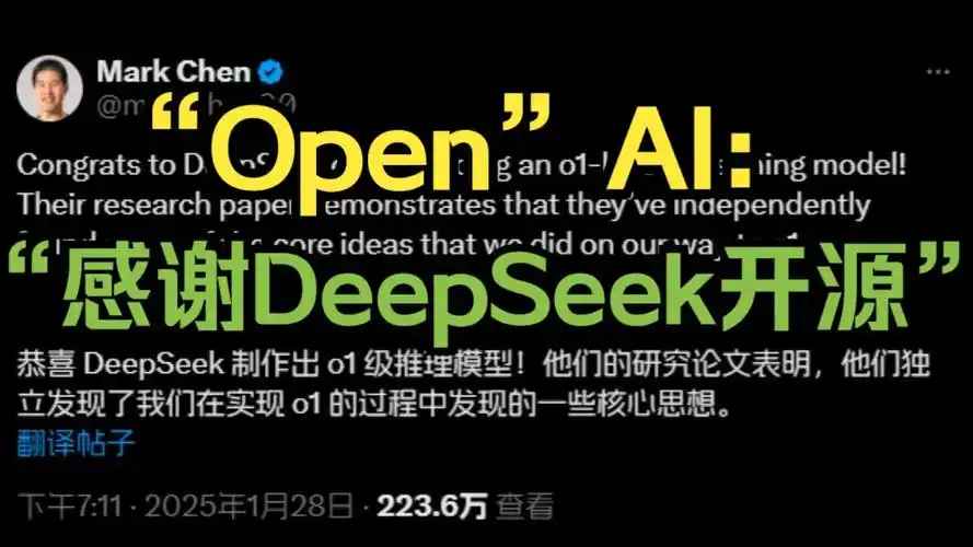 美媒揭秘DeepSeek難以被封殺真相：開源理念與全球融合-第3張