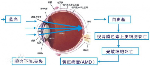 孩子用的台灯哪个牌子好？值得买的五款眼科医生推荐的台灯推荐