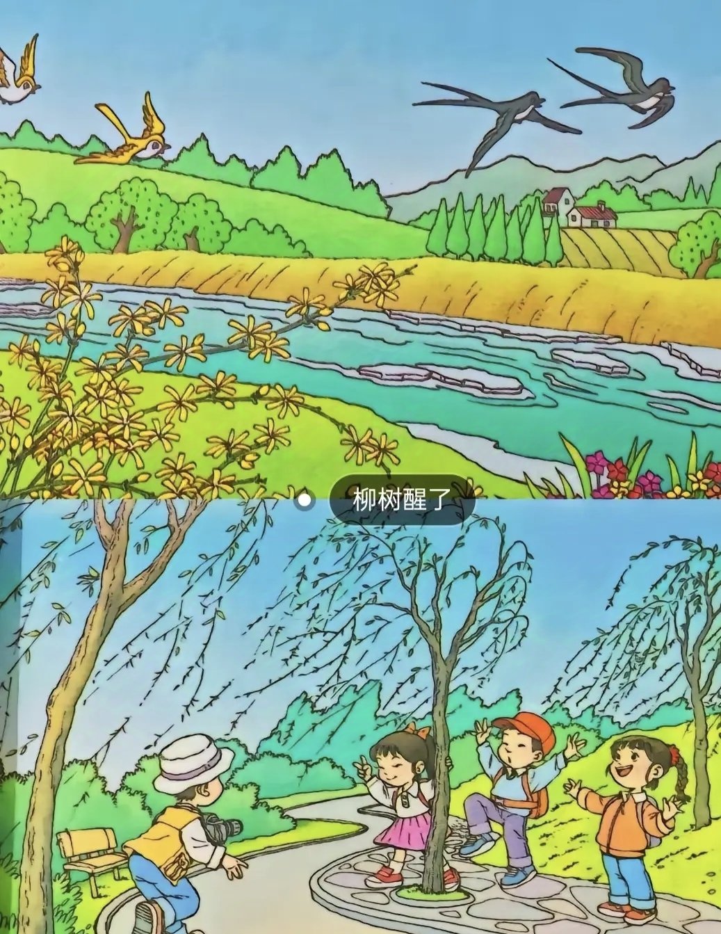 那段小有遗憾的幸福时光：我们学过的语文课