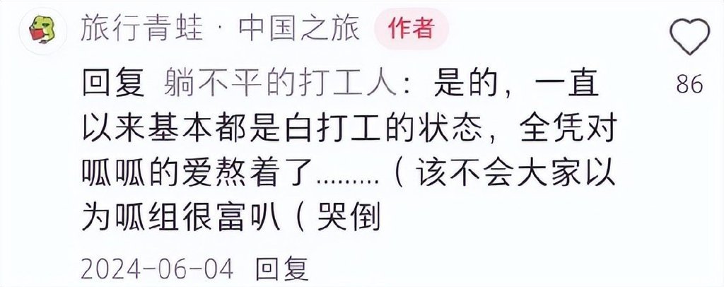 《旅行青蛙》停服危机，说好的“养老”游戏怎么突然药丸了？