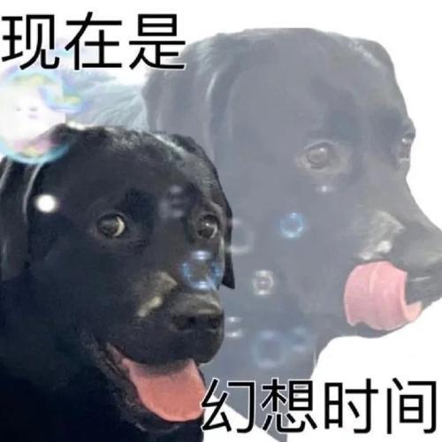 幻想能有个美少女能陪着打游戏，我制作了《弹珠射姬》。