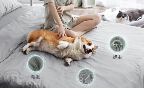 家用除蟎儀哪個牌子效果好又實惠?2025年口碑最好的除蟎儀排名-第2張