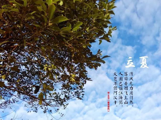 立夏到，可别忘了“立夏蛋”，教你做桂花五香茶叶蛋，营养又健康-第1张