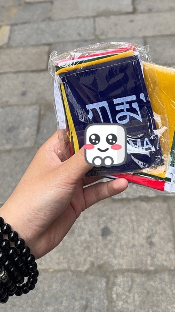 【喵喵日记】终于进藏旅行啦D1-第6张