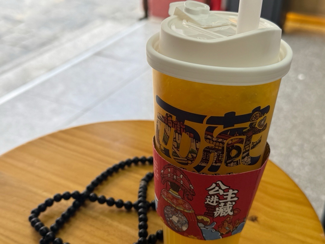 【喵喵日记】终于进藏旅行啦D1-第2张