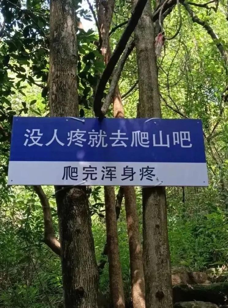當秦嶺淮河遇見三謀沙盤 地理分界竟成破局關鍵-第1張