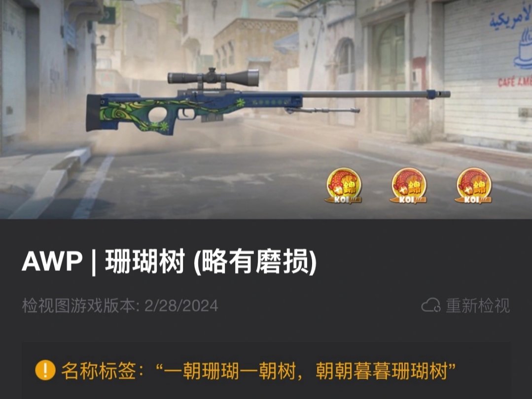 觸動人心的CS槍名(五)—武器的靈魂-第13張