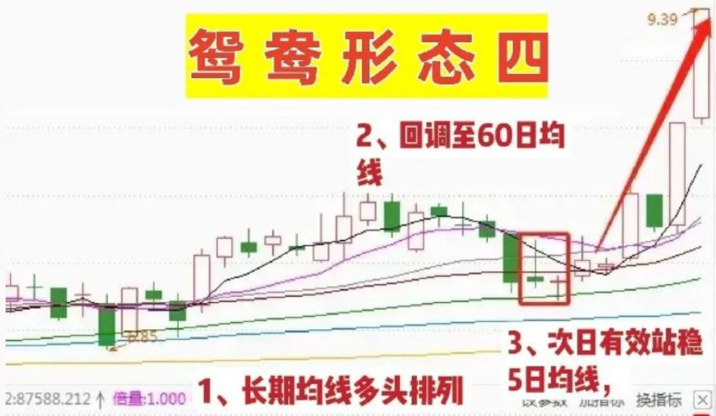 上升鴛鴦指標系統，鴛鴦底形態選股戰法.“鴛鴦線”買入法-第3張