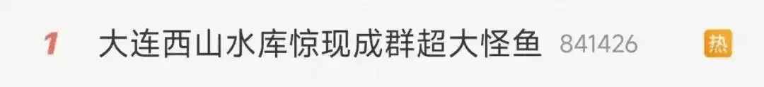 大连一水库惊现成群怪鱼 专家：或人为放生，影响本土物种生存