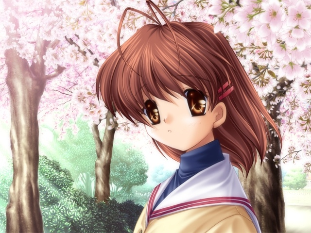 "萌系游戏大赏·历代最佳"公布，《CLANNAD》荣获第一