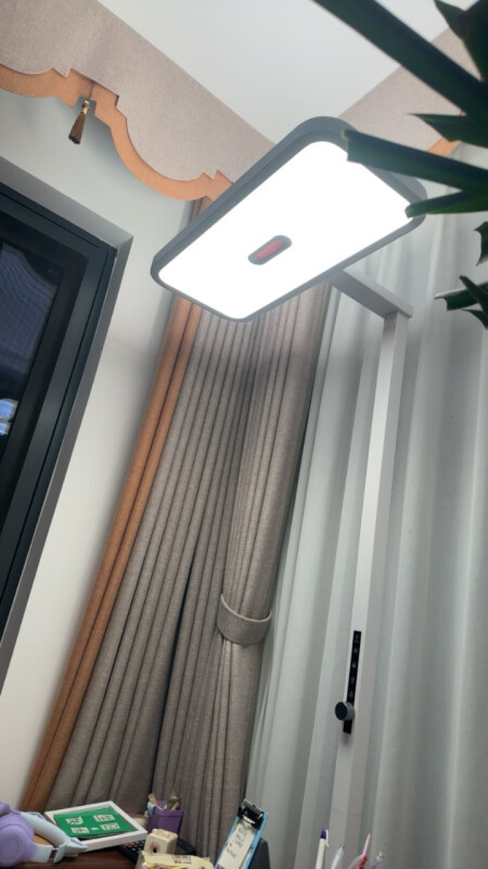 客廳落地臺燈款式哪個好用一點呢?五款高性價比客廳落地臺燈推薦-第10張