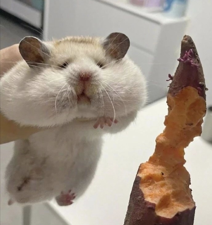 作为自宅警备员，我为什么会想去线下游戏展会