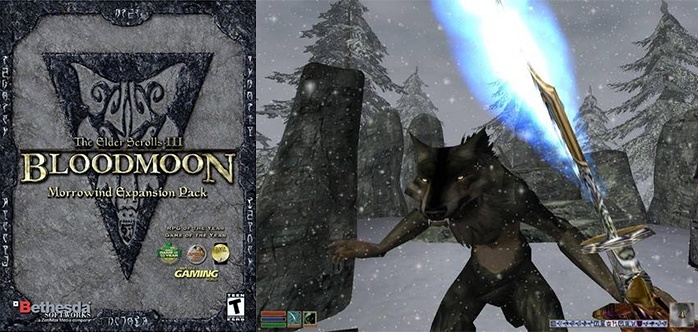 盘点那些美式RPG游戏厂商及其作品：Bethesda篇