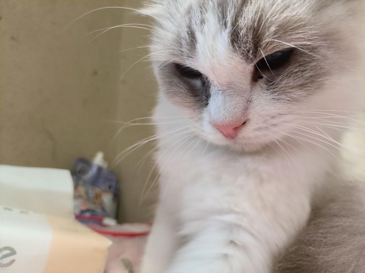 “欲买桂花同载酒，终不似，少年游”