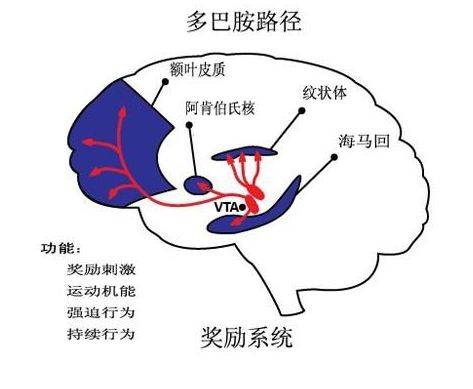 你在某些方面成瘾了吗？