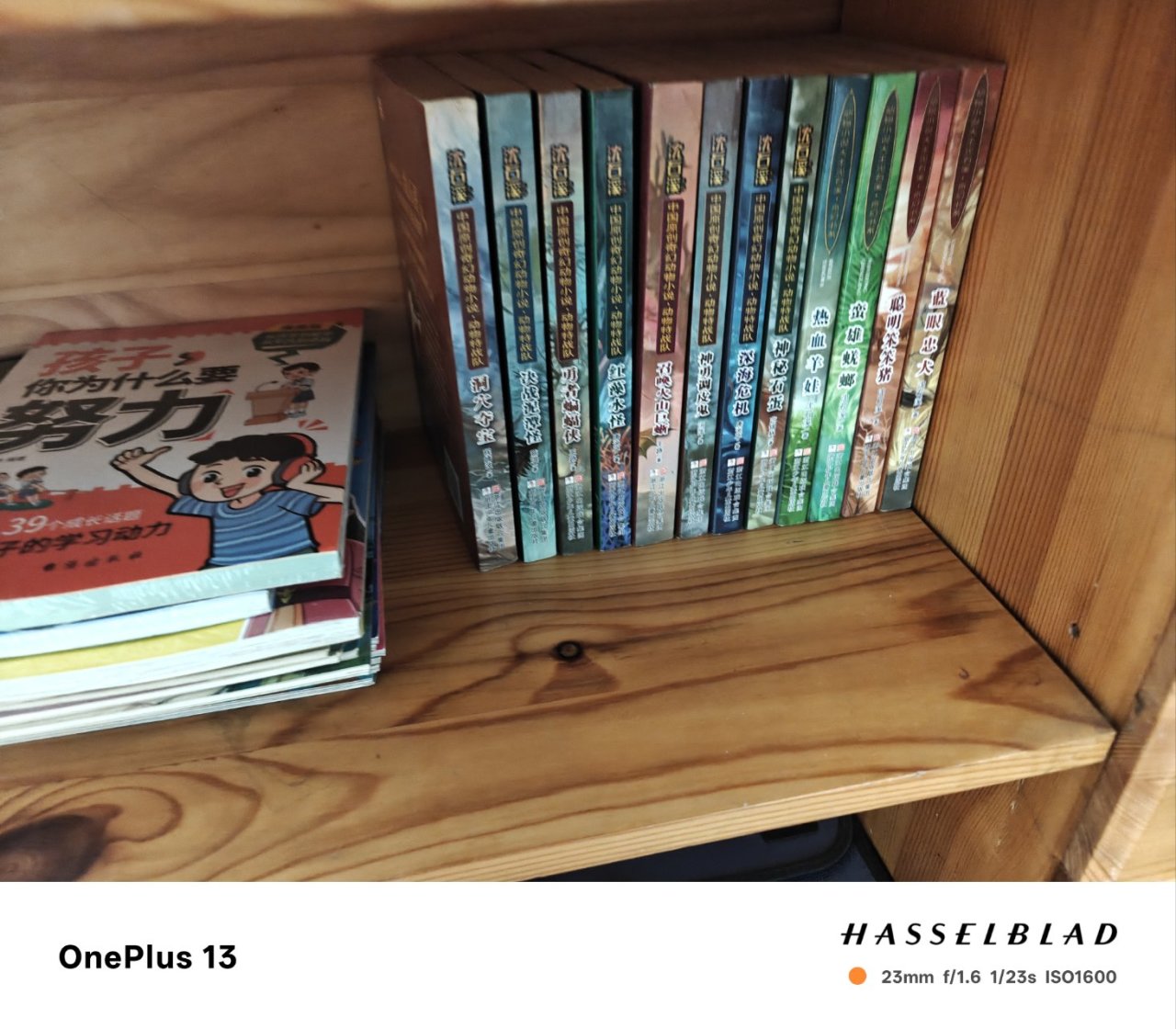 差一点被卖掉的童年回忆